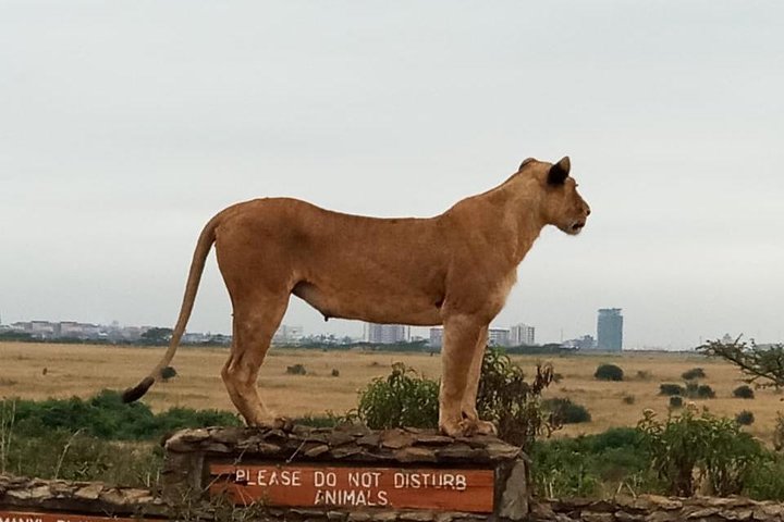 Nairobi National park