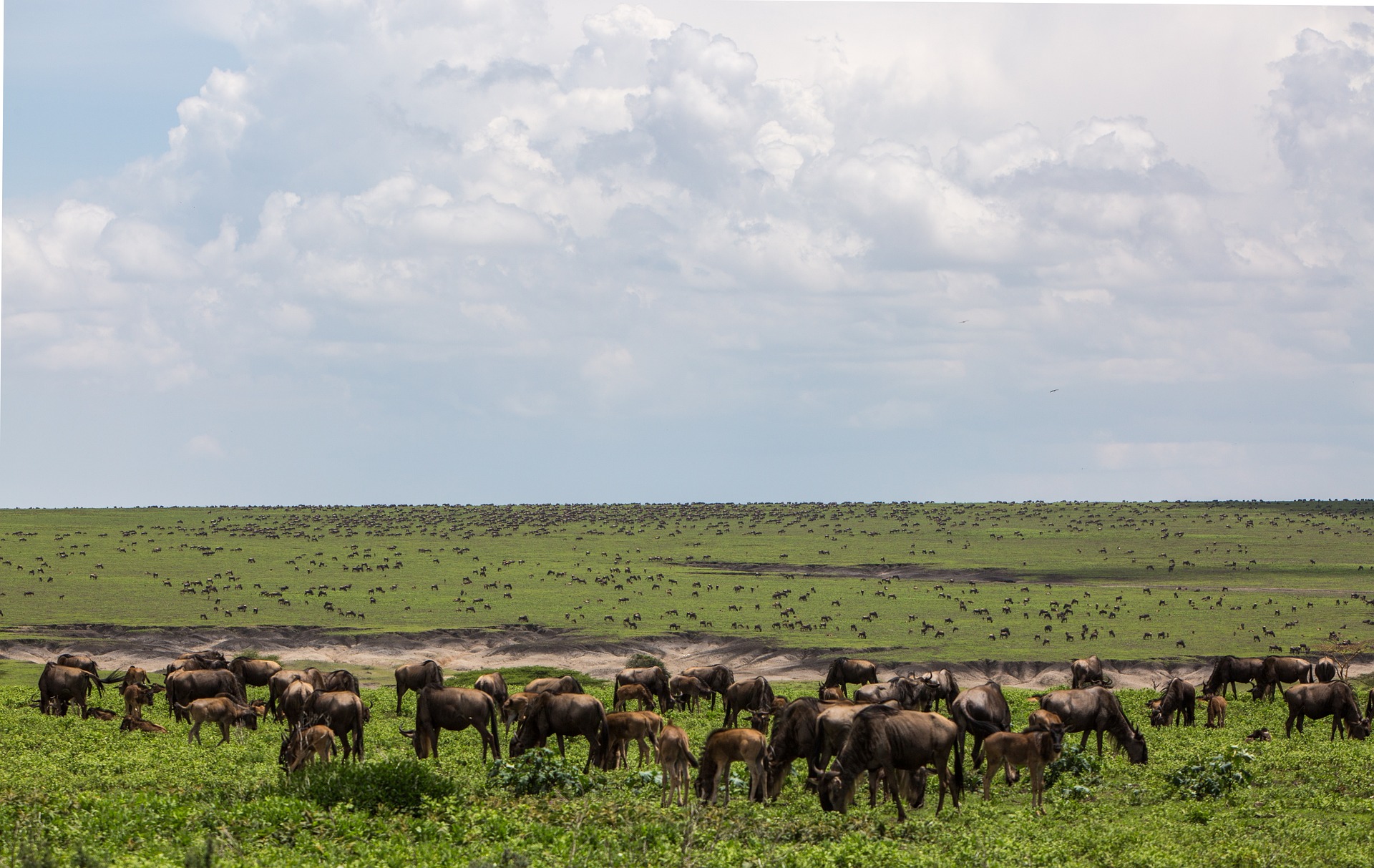 2 Days Tsavo East Safari