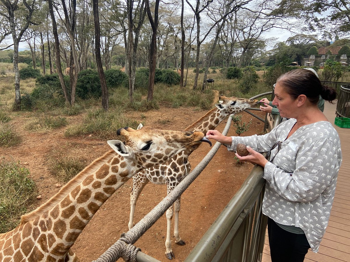 Day Tour to David Sheldrick Elephant Trust and Giraffe Center