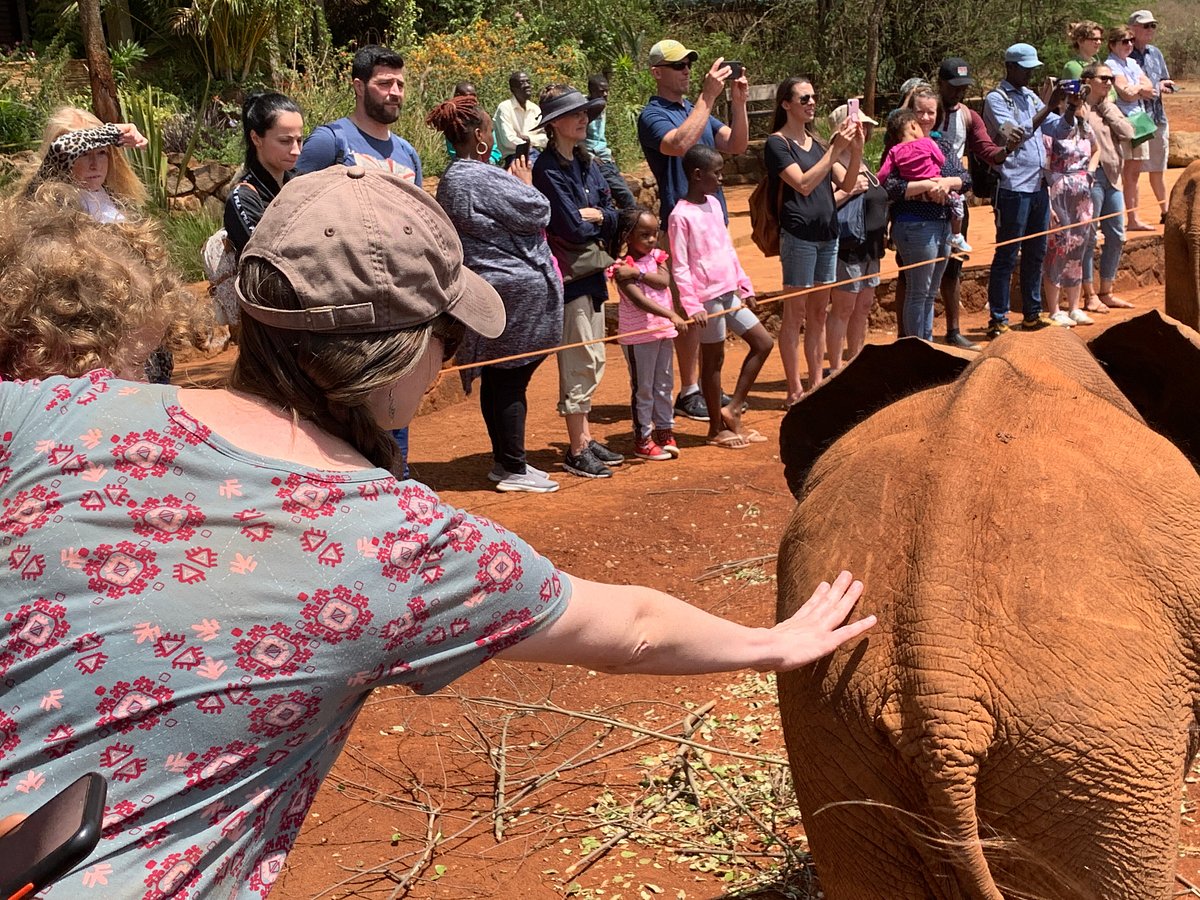 Day Tour to David Sheldrick Elephant Trust and Giraffe Center