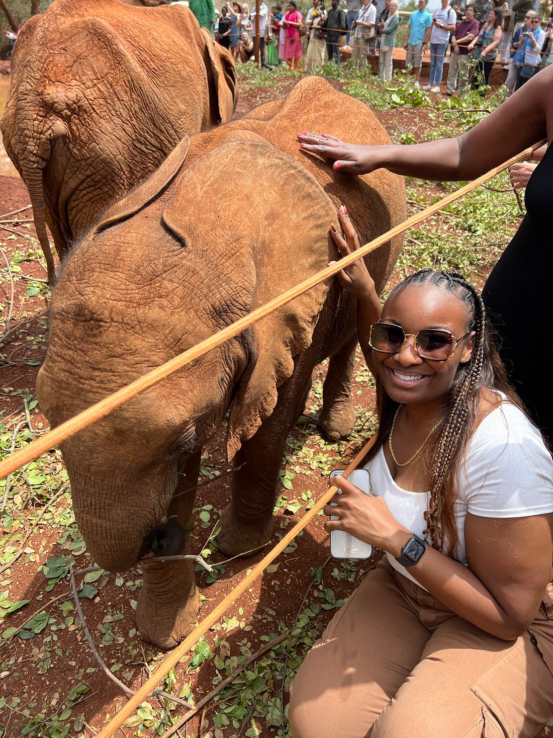 Day Tour to David Sheldrick Elephant Trust and Giraffe Center