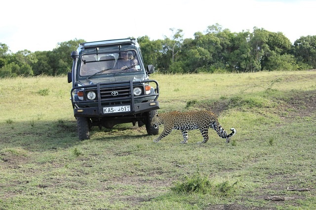 Masai Mara national reserve