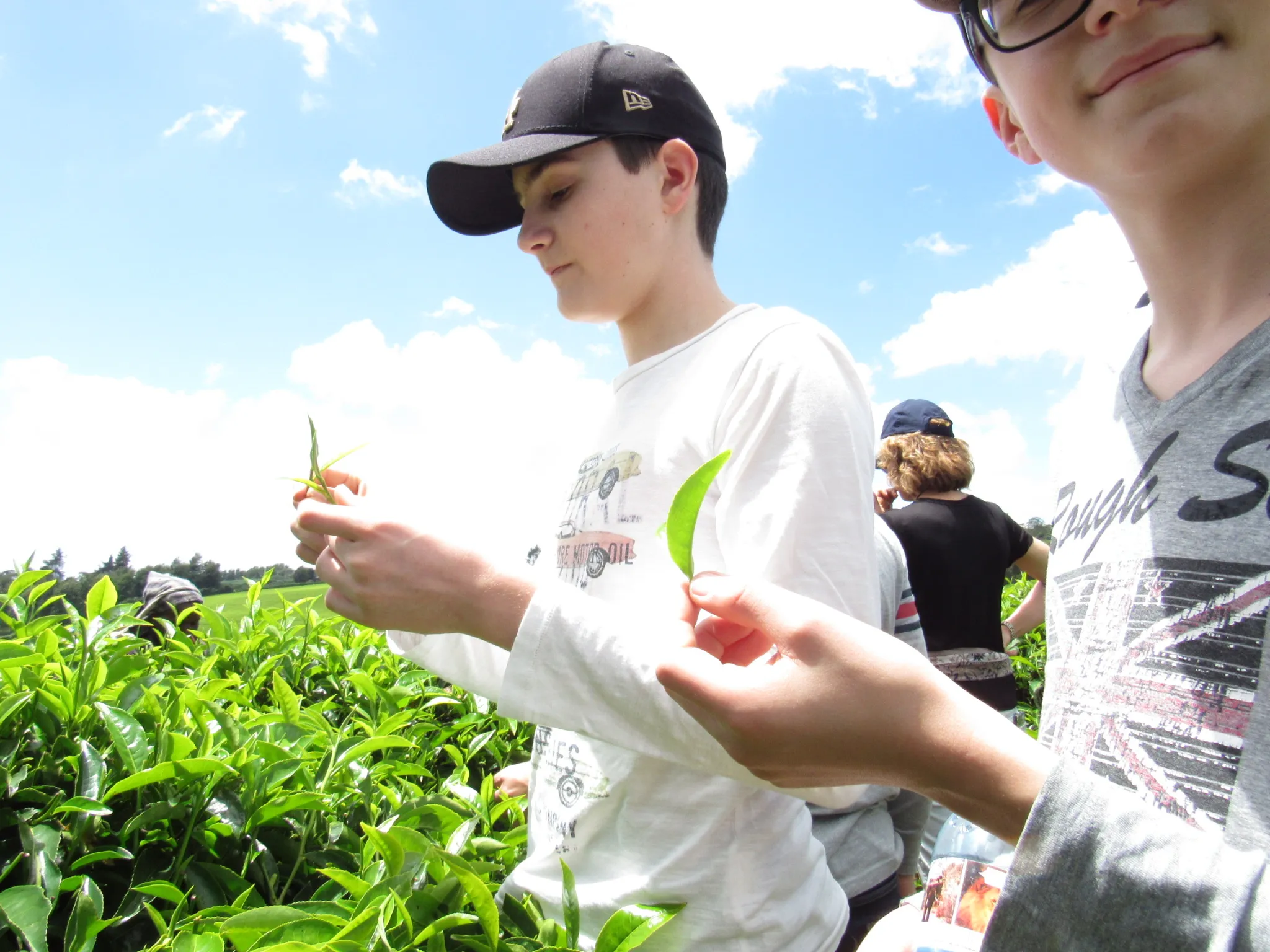 Nairobi Coffee Farm and Factory Tour